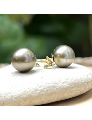 Tahiti pearl ear studs - gold earrings with cultured Tahitian pearls price