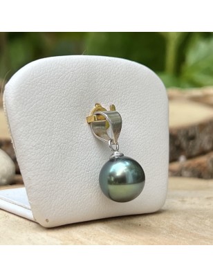 Tahiti pearl women's pendant with cultured pearl from Tahiti price - tahitian pendant