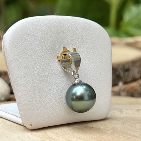 Tahiti pearl women's pendant with cultured pearl from Tahiti price - tahitian pendant