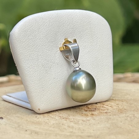 Tahiti pearl women's pendant with cultured pearl from Tahiti price - tahitian pendant