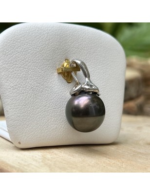 Tahiti pearl women's pendant with cultured pearl from Tahiti price - tahitian pendant