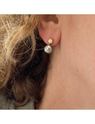 tahiti pearl gold earrings with diamonds - diamond ear studs with cultured pearls from Tahiti