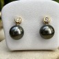 Evana - Perles Noires - 10.36mm