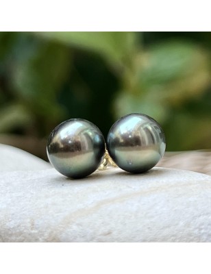 buy Tahiti pearls - gold earrings with tahitian pearls price - perla Tahiti