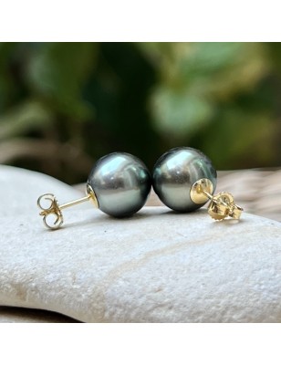 buy Tahiti pearls - gold earrings with tahitian pearls price - perla Tahiti