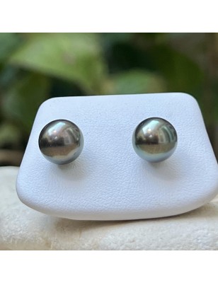 clous oreille perle Tahiti - boucles or perles de culture de Tahiti prix