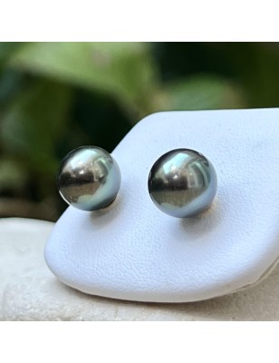 clous oreille perle Tahiti - boucles or perles de culture de Tahiti prix