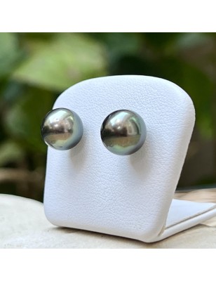 buy Tahiti pearls - gold earrings with tahitian pearls price - perla Tahiti