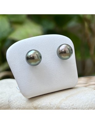 buy Tahiti pearls - gold earrings with tahitian pearls price