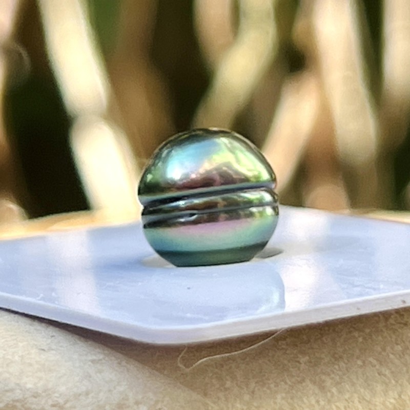 Circled Tahitian Pearl - Parrot Green - 9.96mm