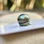 Circled Tahitian Pearl - Parrot Green - 9.96mm