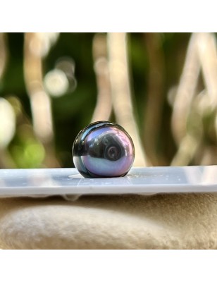 perle de Tahiti seule de couleur peacock bleue prix - perle de culture de Tahiti à l'unité