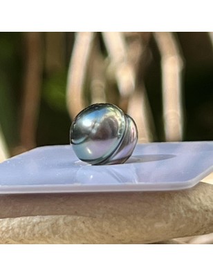 single Tahitian pearl peacock color price - loose Tahitian cultured pearl