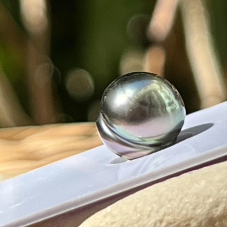 Perle de Tahiti Cerclée - Peacock Clair Bleu  - 9.58mm