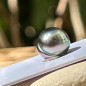 Circled Tahitian Pearl - Blue-peacock - 9.58mm