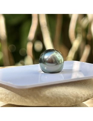 perle de Tahiti seule de couleur peacock bleue prix - perle de culture de Tahiti à l'unité