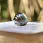 Circled Tahitian Pearl - Blue-aubergine - 9.00mm