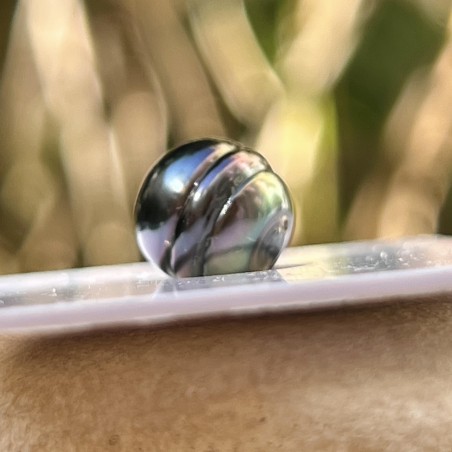 Perla de Tahití Circulada - Azul Rosa - 9,00 mm