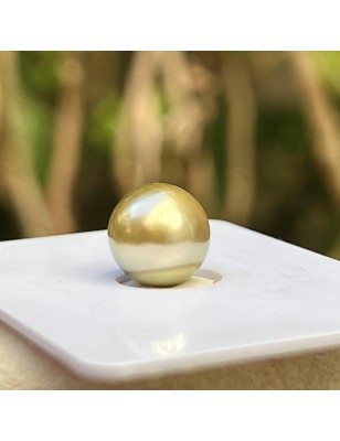 perle de Tahiti seule de couleur gold - perle de culture de Tahiti or à l'unité