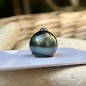 Loose Tahitian Round Pearl - Blue Peacock - AA - 11.00mm