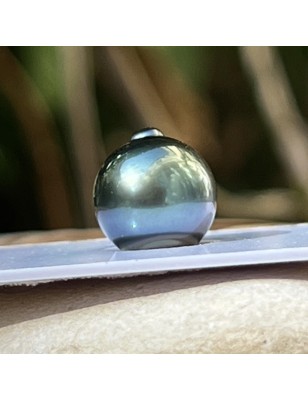 Loose Tahitian Round Pearl - Blue Peacock - AA - 11.00mm