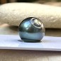 Loose Tahitian Round Pearl - Blue Peacock - AA - 11.00mm