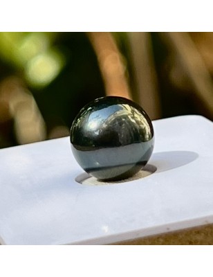 loose Tahitian black pearl price - alone pearl for rising on jewel