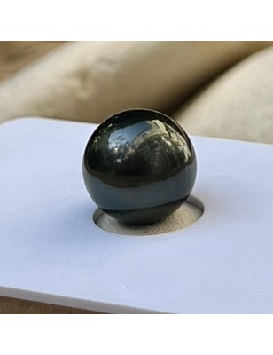 loose Tahitian black pearl price - alone pearl for rising on jewel