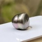 タヒチの真珠 - サークル - ピンクパシフィックサンセット - 10.88mm