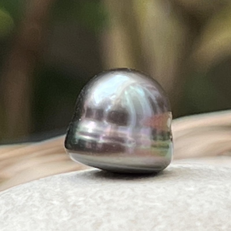 Perle de Tahiti - Cerclée - Pink Pacific Sunset- 10.88mm