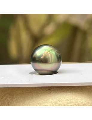 loose Tahitian pearl price - alone pearl for rising on jewel