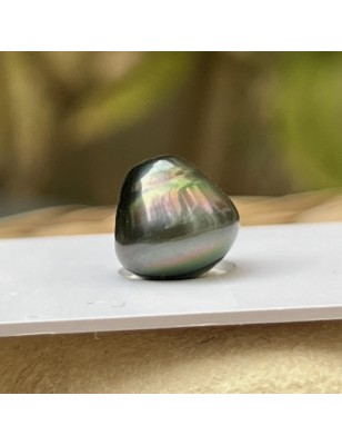 loose Tahitian pearl price - alone pearl for rising on jewel