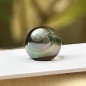 Loose Tahitian Pearl - Peacock - Circled - 10.83mm