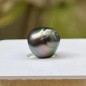 Loose Tahitian Pearl - Peacock - Circled - 10.83mm