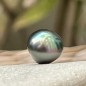 Perle de Tahiti - Cerclée - Paon- 10.83mm Perle de Tahiti - Cerclée - Paon- 10.83mm