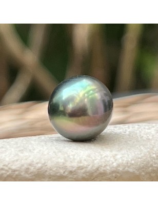 loose Tahitian pearl price - alone pearl for rising on jewel
