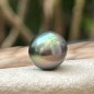 Perla di Tahiti - Cerchiata - Pavone - 10,83 mm