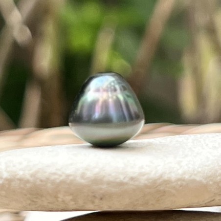 Tahitiperle – Kreisförmig – Pfauenblau – 10,83 mm