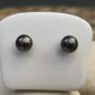 Aubergine Tahitian Pearls - Silver Ear Studs