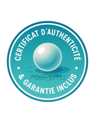 pendentif homme tortue perle noire de culture de tahiti prix - pendentif homme tahitien