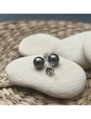 prix clous d oreille perle de Tahiti de huitre perle - perles tahitiennes en boucle oreille