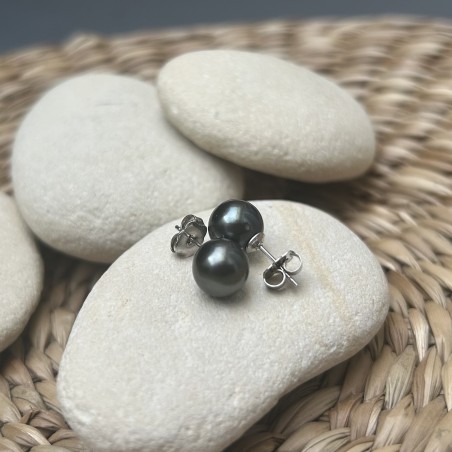 prix clous d oreille perle de Tahiti de huitre perle - perles tahitiennes en boucle oreille