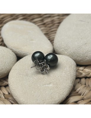 prix clous d oreille perle de Tahiti de huitre perle - perles tahitiennes en boucle oreille