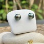 Éclatante - Green Pistachio Tahitian Pearls - 18k Gold Ear Studs