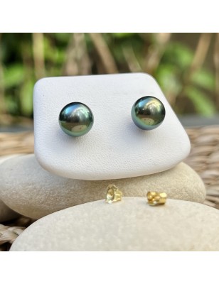 Tahiti pearls on gold ear studs for women - tahitian earrings