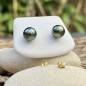 Éclatante - Green Pistachio Tahitian Pearls - 18k Gold Ear Studs