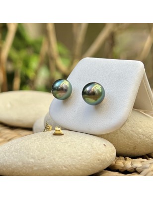 Tahiti pearls on gold ear studs for women - tahitian earrings