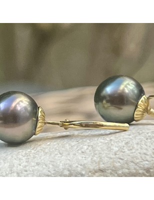 Pendientes de perlas de Tahití