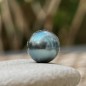ラウンドタヒチパール - ブルー - 11.11mm - AA+