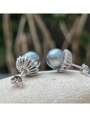 prix clous d oreille perle de Tahiti de huitre perle - perles tahitiennes en boucle oreille